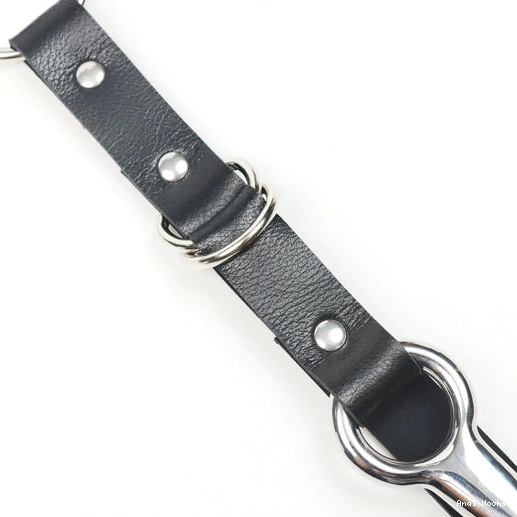 Anal Hooks 5853 EverydayUse Hook and Collar Kinky Anal Leash with 1006